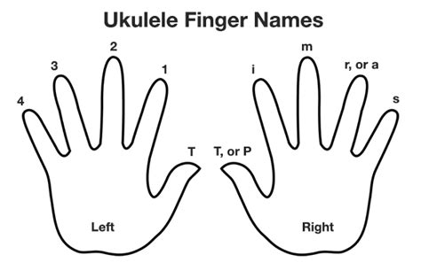 How to Play the Ukulele - Get-Tuned.com