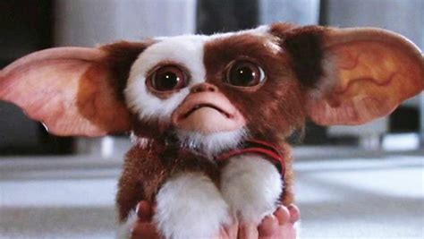 Gremlins Movie Christmas