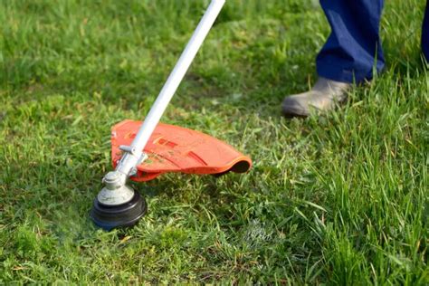 7 Creative Ways to Cut Grass Without a Lawnmower - My Backyard Life