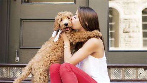 Scientists Have Found That Dog Owners Love Their Dogs More Than Other ...