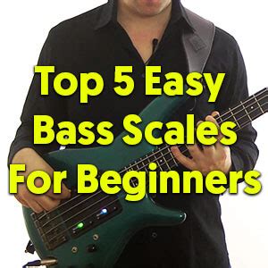 Bass Guitar Scales: 5 Easy Bass Scales for Beginners from Talking Bass