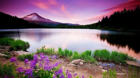 Spring Landscape Wallpapers - Top Free Spring Landscape Backgrounds - WallpaperAccess