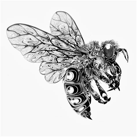 Images For > Steampunk Animal Sketches | Graphic design art, Si scott, Ink art