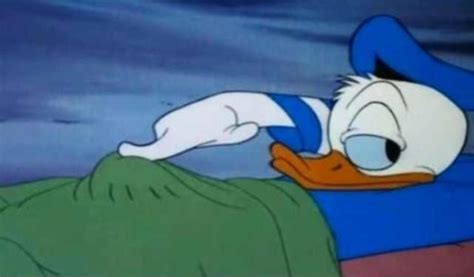 Donald Boner in Bed | Donald Duck Boner | Know Your Meme