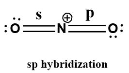 Describe the hybridization of N in NO2 + and NO2 -. | Homework.Study.com