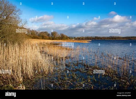 Lockerbie hi-res stock photography and images - Alamy