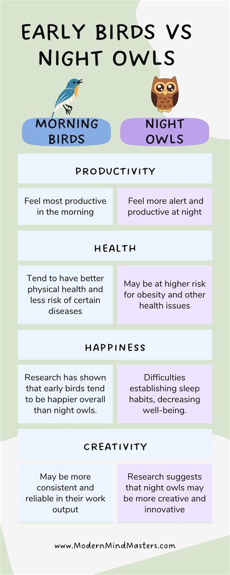 the differences between early birds and night owls infographical poster for kids'learning