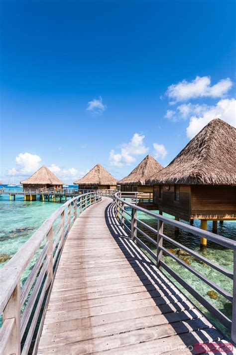 - Pier and overwater bungalows, Rangiroa, French Polynesia | Royalty ...