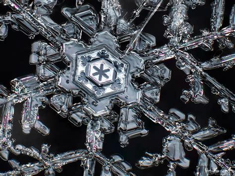 Images Of Snowflakes Under A Microscope - 🌟 zoom feature from 1× to 10× ...