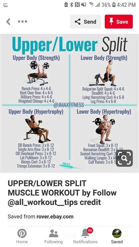 Upper/lower split | Lower body workout, Body workout plan, Workout plan gym