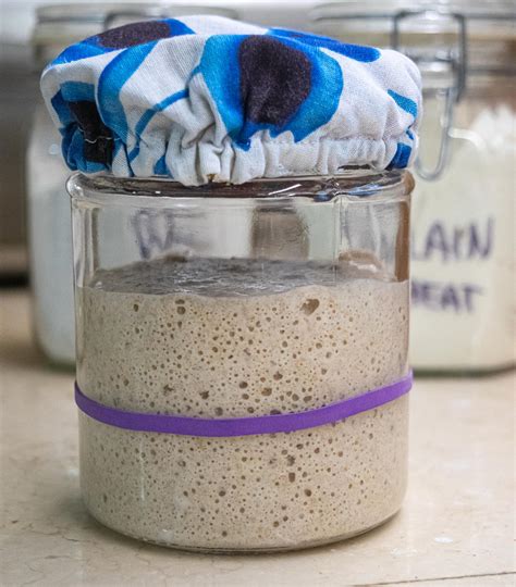 How to Make a Sourdough Starter from Scratch. - East West Flavors