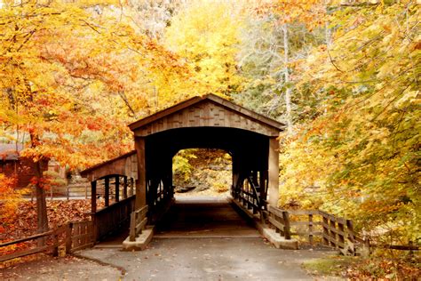 Covered Bridge In Forest 1 Free Stock Photo - Public Domain Pictures