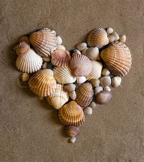 A shell heart on sand | Stock image | Colourbox