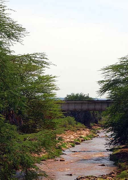 June 29: Pachyderm Encounters of the Closest Kind – Tsavo East Nat’l Park | East to Hedon