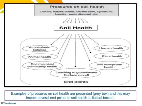 Soil Health in Relation to Soil Biological Indicators