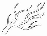 Coloring Pages Of Tree Branches sketch template