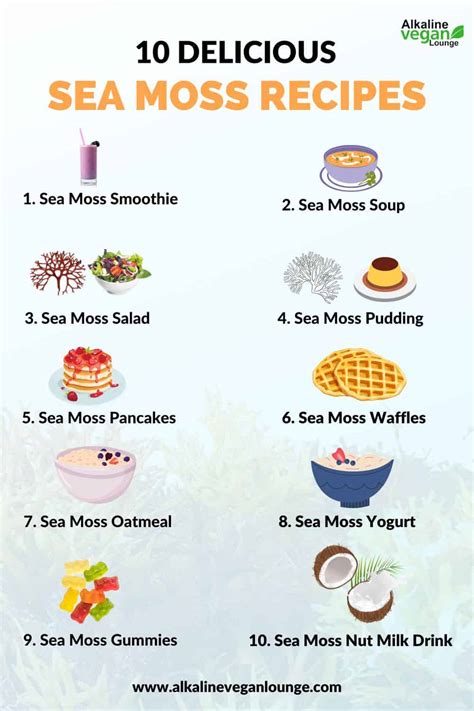 How to Eat Sea Moss Right: 10 Creative Ideas [+Recipes] - Alkaline Vegan Lounge