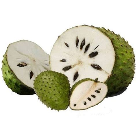 Natural Organic Green Soursop Fruit at Best Price in Madurai | Zero Artificial