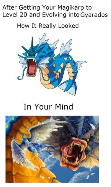 After Getting Your Magikarp to Level 20 and Evolving into Gyarados How It Really Looked - )