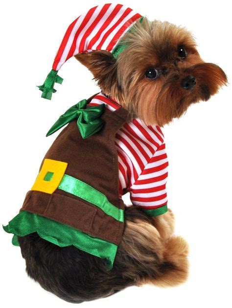 How cute are these Dog Christmas Costumes? (With images) | Christmas ...