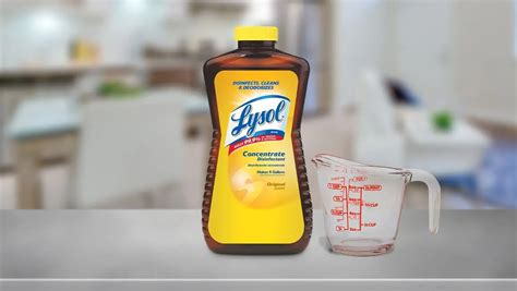 Lysol® Disinfectant Concentrate