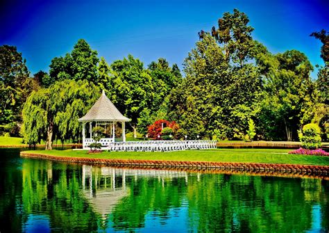 Download Reflection Pond Tree Grass Green Summer Gazebo Man Made ...