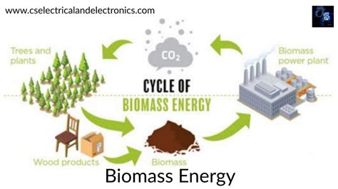 Types Of Renewable Power Plants, Solar Power Plant, Biomass Energy