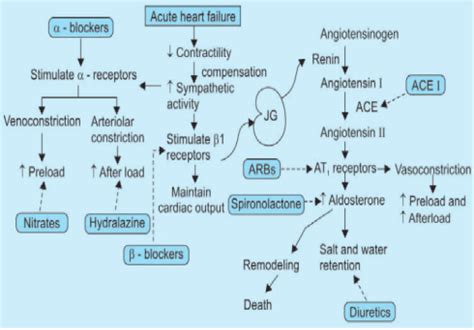 Management of chf - www.medicoapps.org