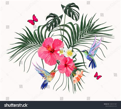 8,081 Hummingbird and flower vector Images, Stock Photos & Vectors ...