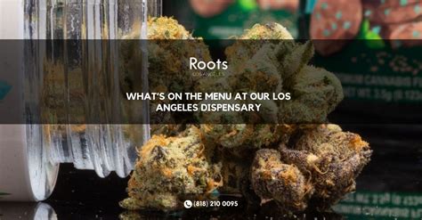 What To Shop For at Our Los Angeles Dispensary