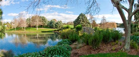 Welcome to the Auckland Botanic Gardens | Auckland Botanic Gardens