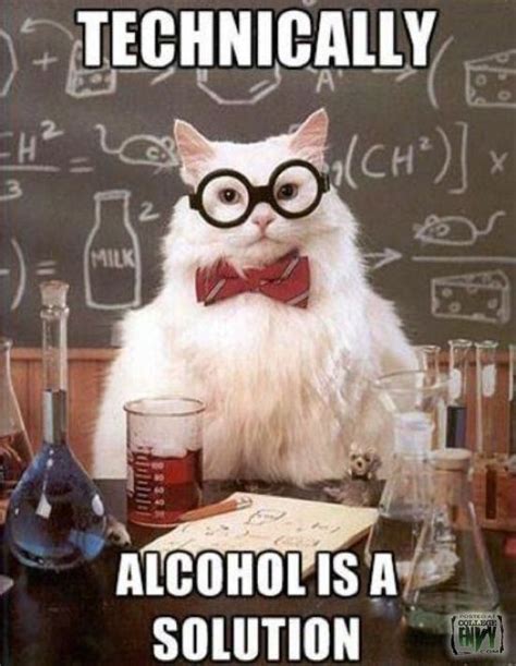 The Best Of Chemistry Cat | Chemistry cat, Nerd humor, Nerdy jokes