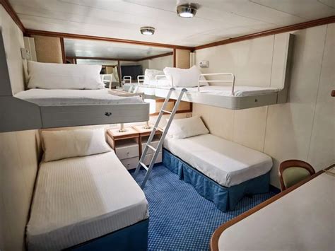 Cruise-ship workers describe the tiny cabins they live in, where up to 4 roommates can share a ...