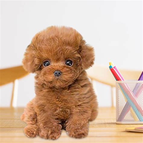 Wepro Realistic Teddy Dog Lucky, Handmade Realistic Figure Toy Dog ...