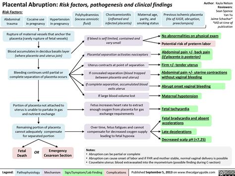 Placental Abruption | Calgary Guide