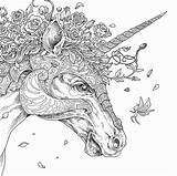 Unicorn Coloring Pages For Adults  Best Kids sketch template