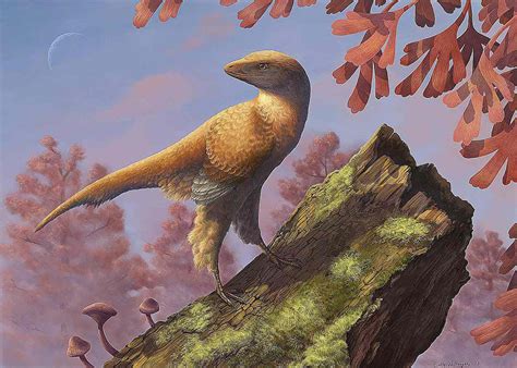 Pictures and Profiles of Feathered Dinosaurs