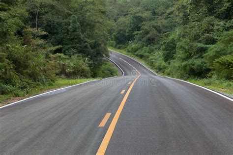 The Road through the Rainforest Stock Photo - Image of rainforest, speed: 41445436