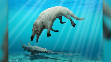 Walking whale ancestor named after Egyptian god of death | Live Science