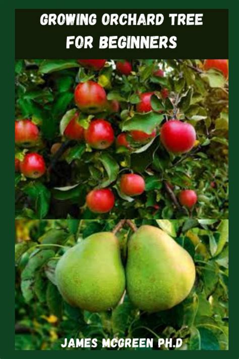 Buy GROWING ORCHARD TREE FOR BEGINNERS: Detailed Guide On How To Grow ...