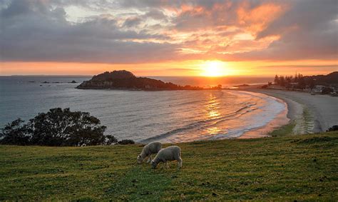 Mount Maunganui Sunrise by Steve Clancy Photography