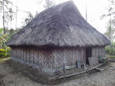 HAUS MAN The Highlands of Papua New Guinea