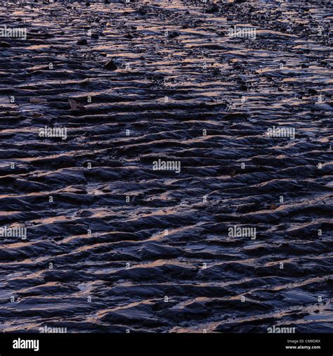 Crisp texture hi-res stock photography and images - Alamy