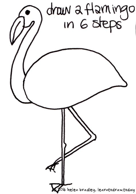 Learn to Draw A Flamingo in 6 Steps : Learn To Draw