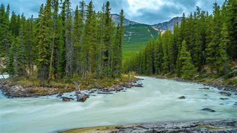 Brown Mountain forest wallpaper - Nature wallpapers - #36372