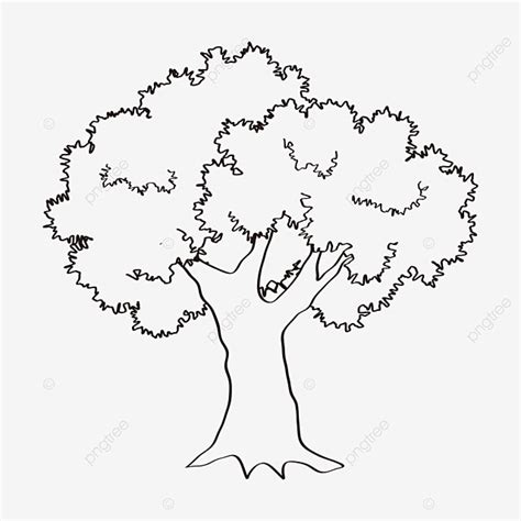 Tree Drawing Black And White