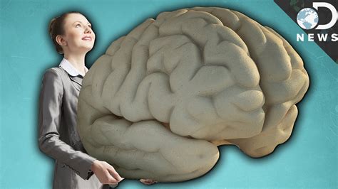 Why Do Humans Have Such Big Brains? - The Mind Voyager