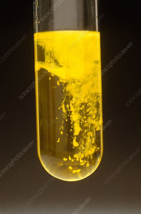 Lead Iodide Formation - Stock Image - C003/3465 - Science Photo Library