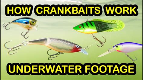 How To Fish Crankbaits and Types of Crankbaits - Underwater Fishing Lures & Crankbait Tips - YouTube