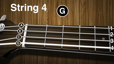 How to tune a Ukulele - Ukulele tuning video ( gCEA ) Chords - Chordify